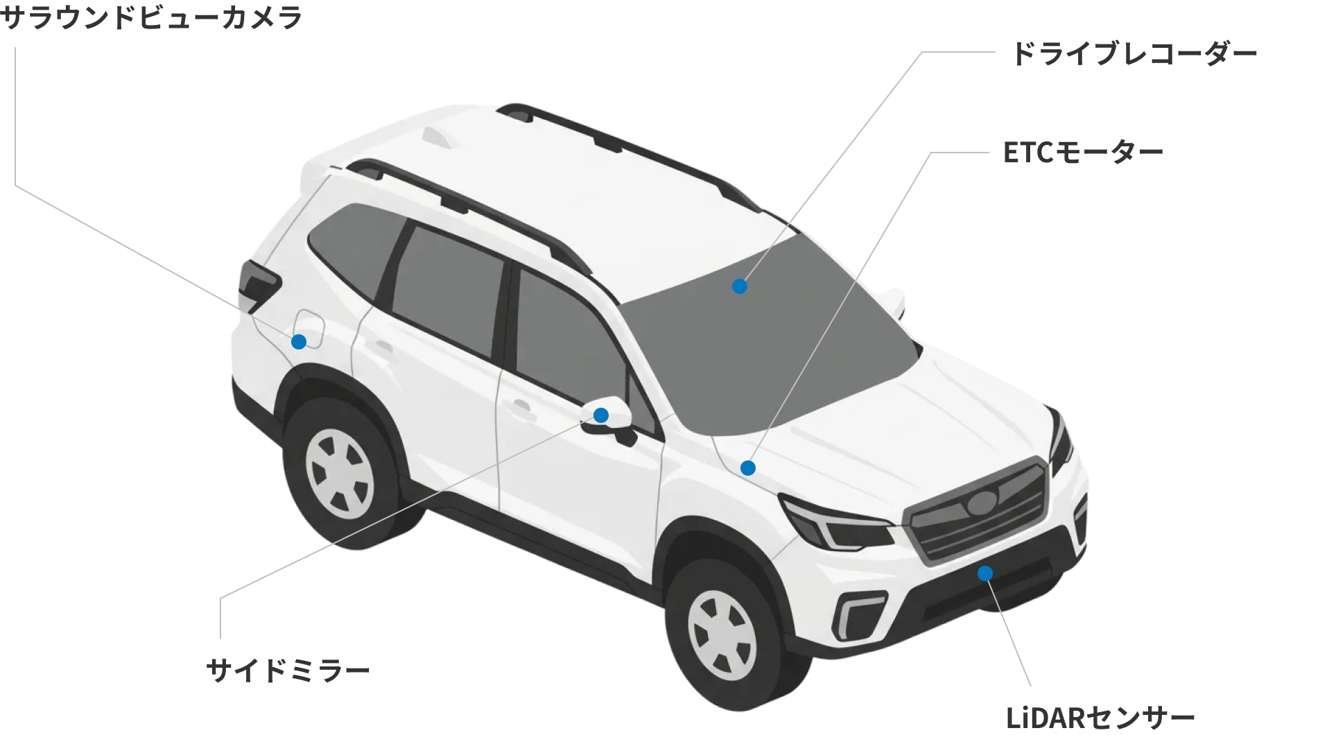 自動車